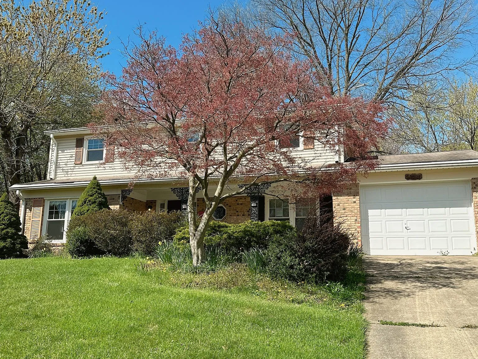 2802 Schafflind Ct — Photo 2