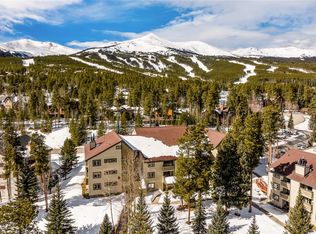 1001 Grandview Dr Unit 22, Breckenridge, CO 80424