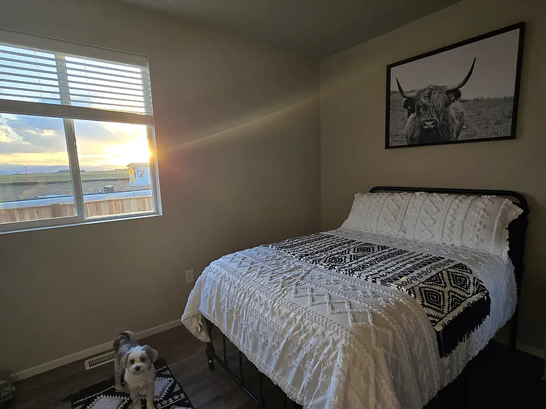 Alfalfa Ln — Photo 8