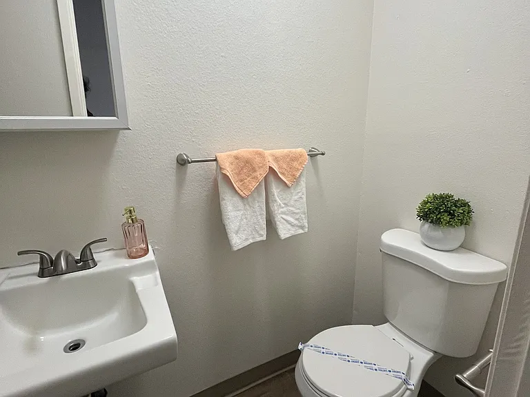 Mt. Pleasant Apartments — Photo 9