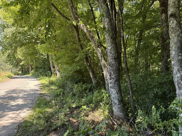 236 Beck Rd, Scaly Mountain, NC 28775