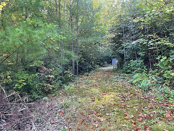 3rd image of 1121 Linville Dr