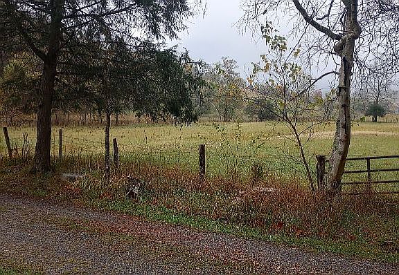 4th image of 7624 Snowy Mountain Rd