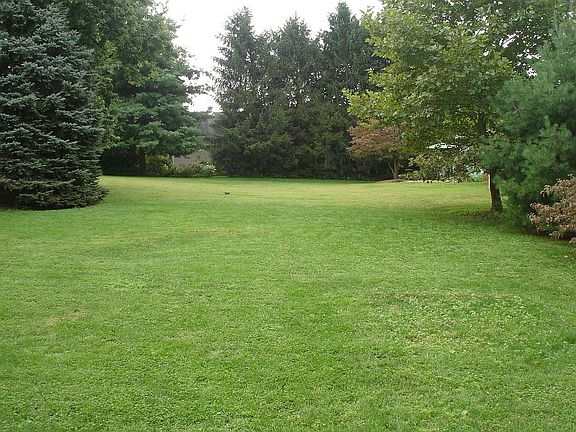 Back Yard, View From the Deck