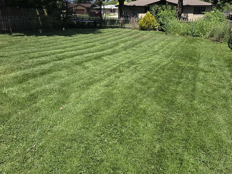 523 Garfield Ave — Photo 2
