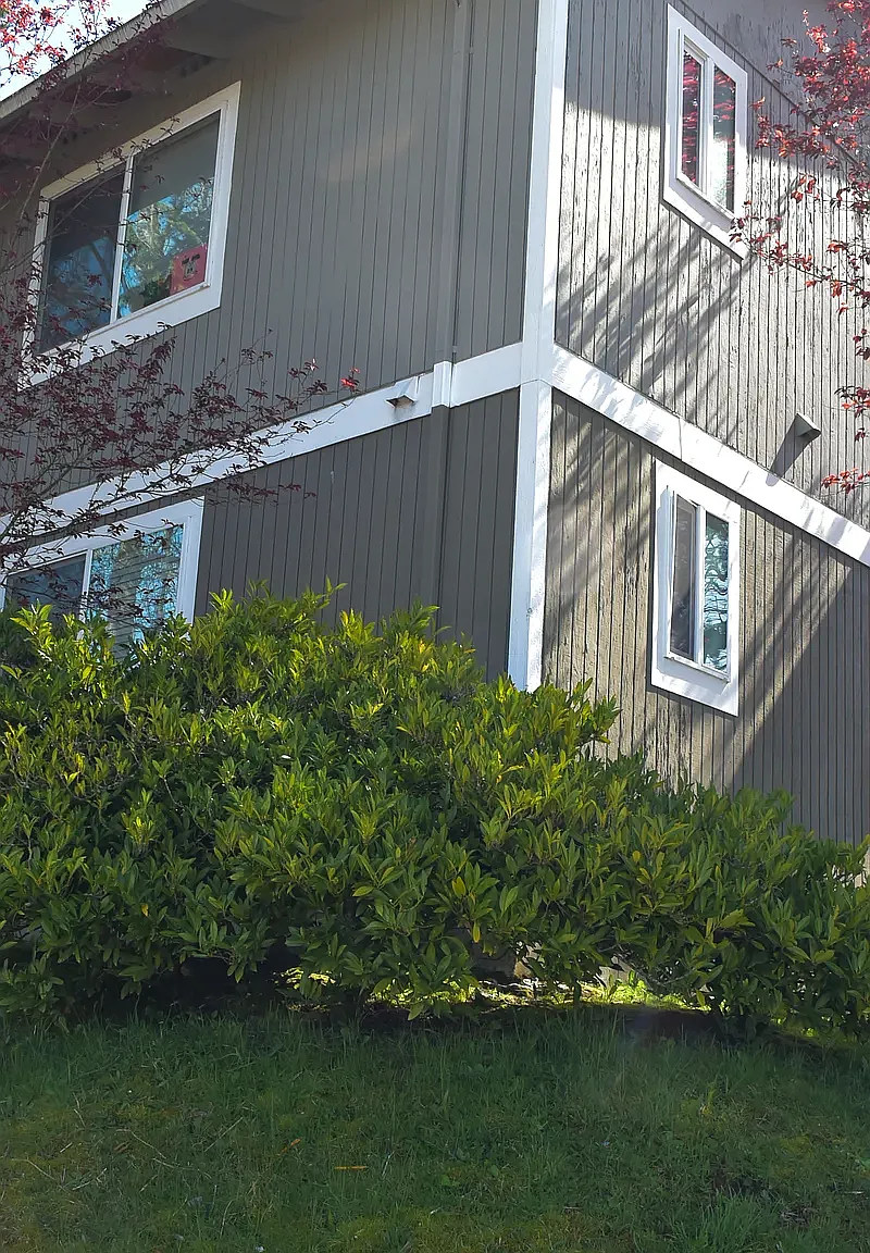 2 bed, 875 sqft, $1,590 — Photo 4
