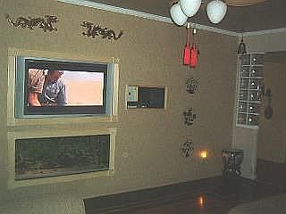 livingroom w/tv & aquarium