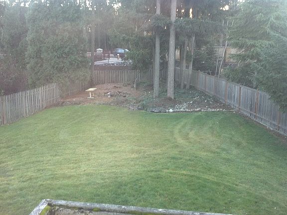 Back yard