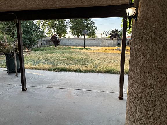 BACK YARD view- from the patio