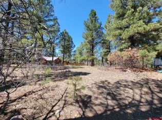 126 Gala Pl, Pagosa Springs, CO 81147