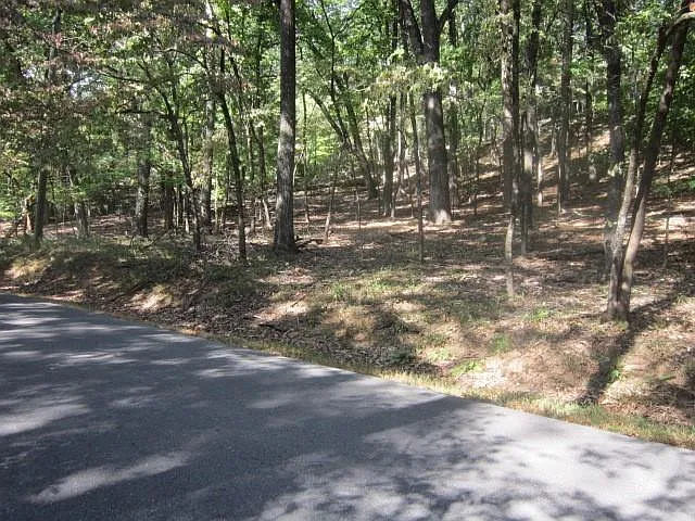 1290 Oglethorpe Mountain Rd photo 1