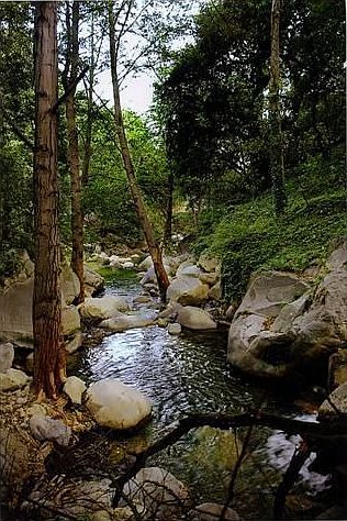 Cold Springs Creek