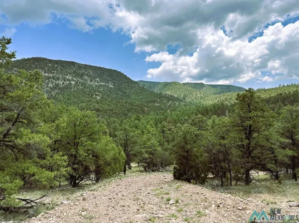 Elk Haven Forest Rd #234, Magdalena, NM 87825