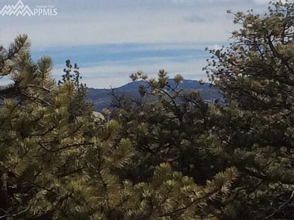 4th image of 125 Black Mesa Cir