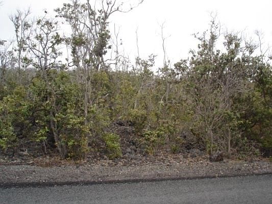 2nd image of Tiki Ln Lot 27