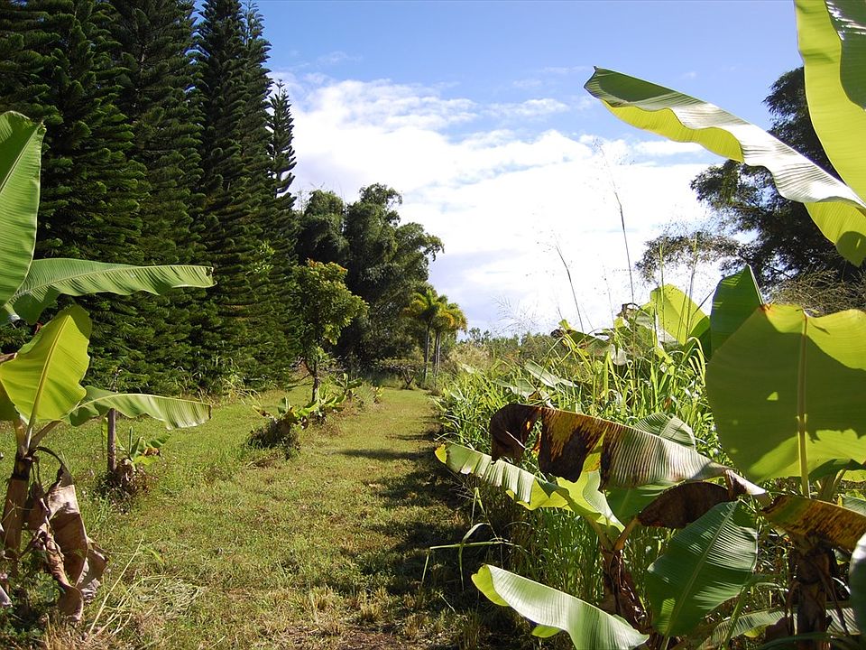 1st image of 28-1211 Mamalahoa Hwy Lot 1