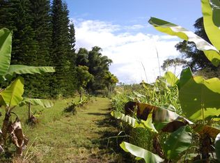 28-1211 Mamalahoa Hwy LOT 1, Pepeekeo, HI 96783