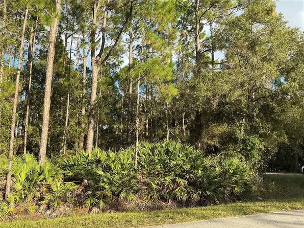 1589 AVOCADO BOULEVARD LOT 20, BUNNELL, FL 32110