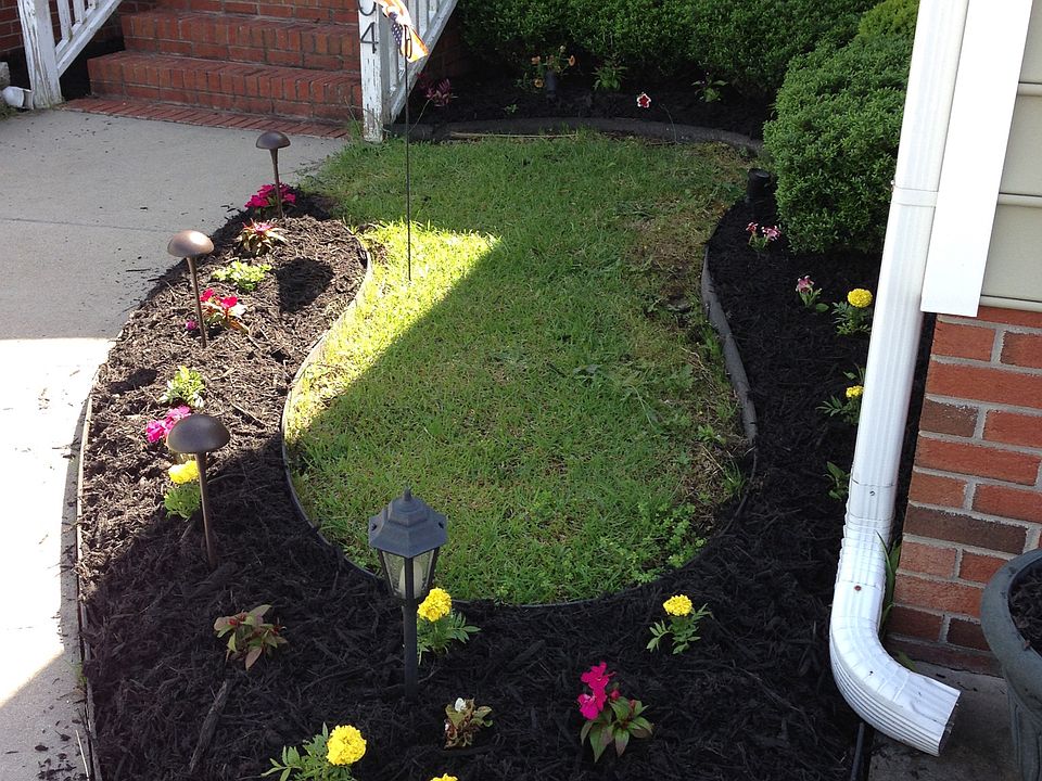 2nd image of 2204 Cherrytree Ln