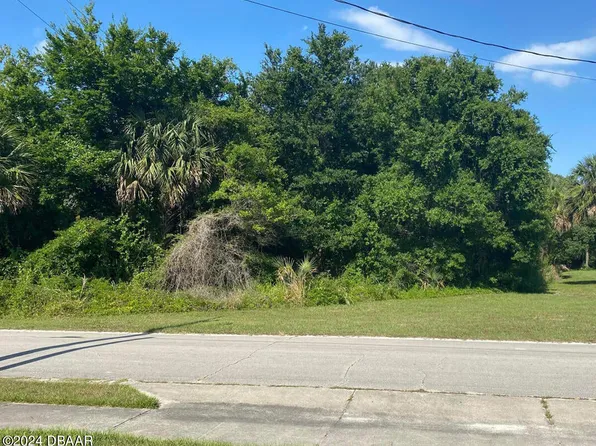 273 Flamingo Rd, Oak Hill, FL 32759