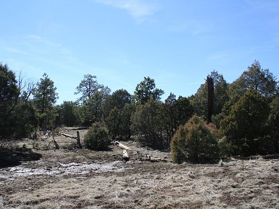 2nd image of 58 Laguna Vista Dr