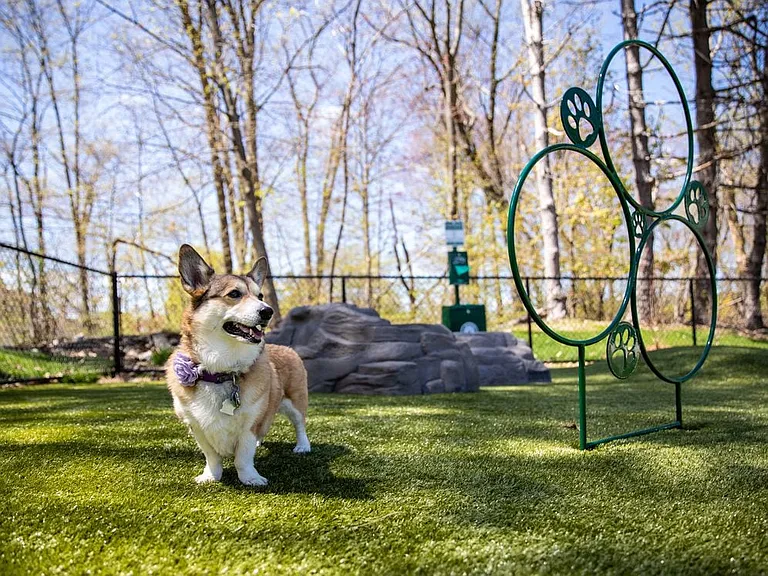 WAG Pet Park