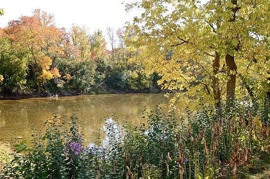 River View
