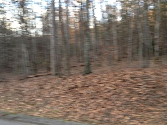 3rd image of 1209 Panther Park Trl