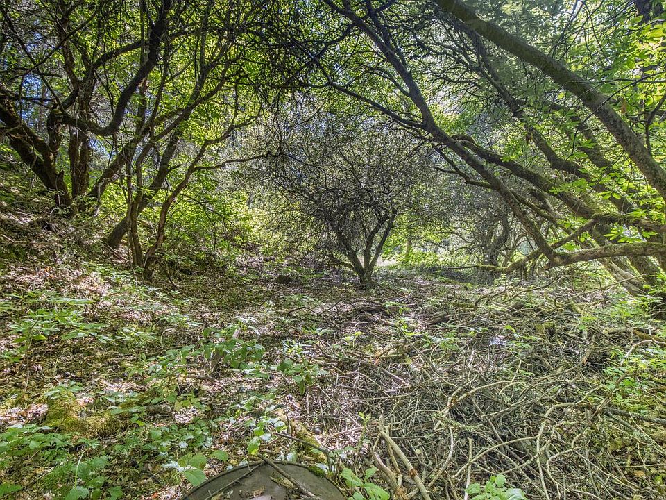 4th image of Cacalaveras County