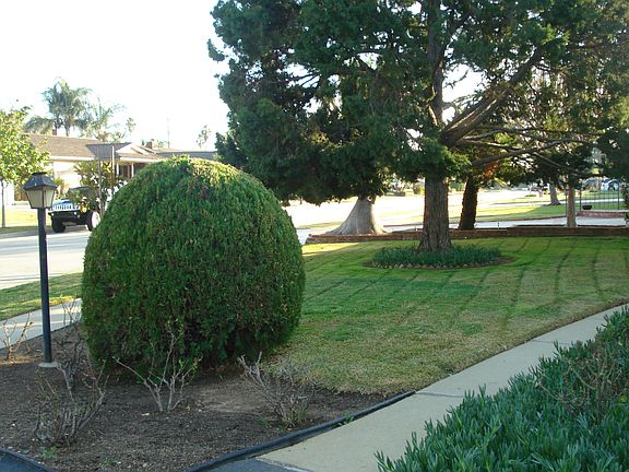 4th image of 1325 Sierra View Dr
