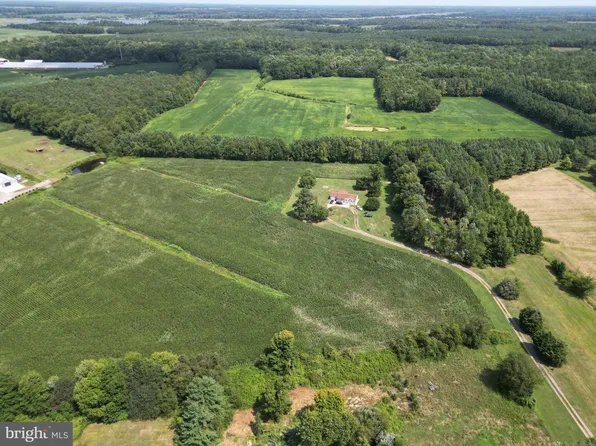 21596 Dover Bridge Rd, Preston, MD 21655