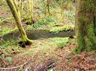 3007 Duckabush Rd, Brinnon, WA 98320