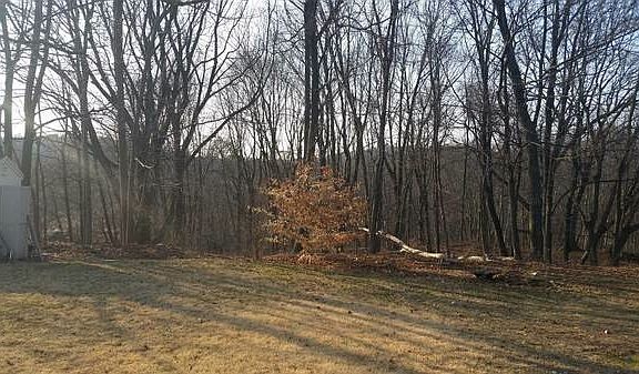 Backyard 2 acres of land