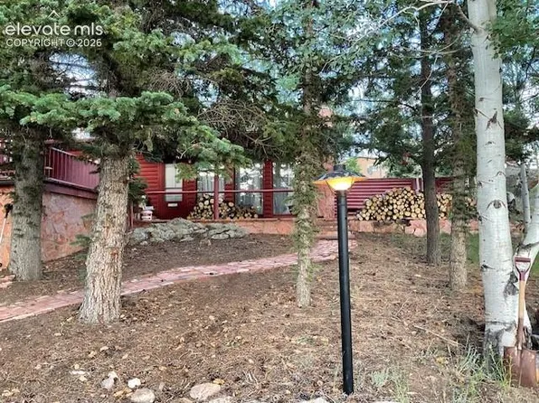 30 Brook Dr, Lake George, CO 80827