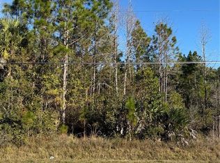 Starry St LOT 554, Orlando, FL 32833