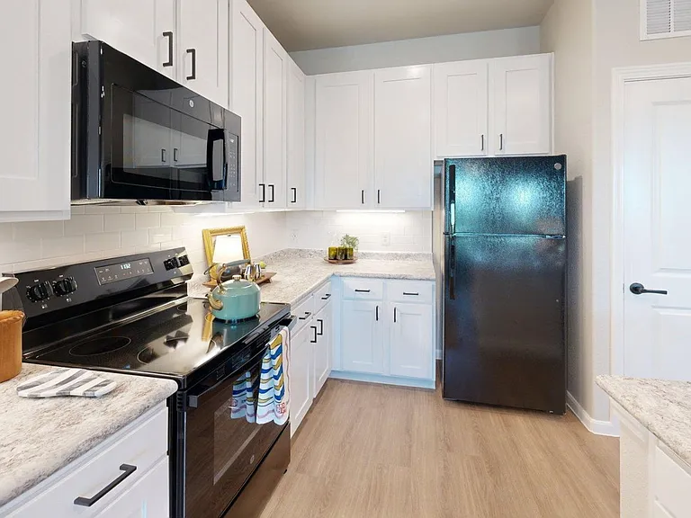 260 W Mulberry St #1102 — Photo 6