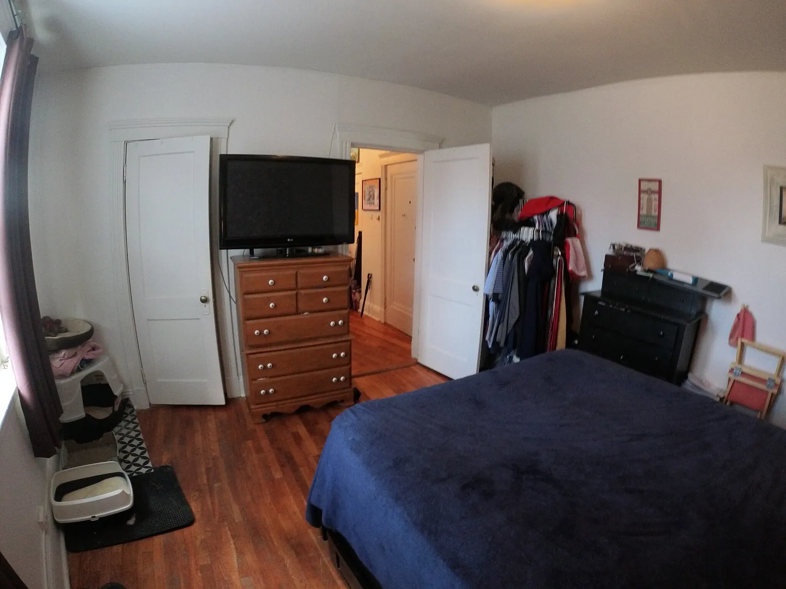 1 bed, 1.0 bath, $2,400 — Photo 4