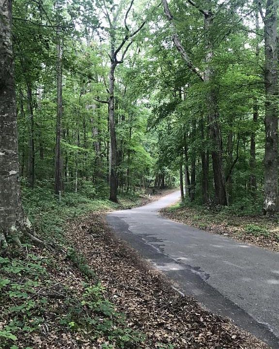2nd image of Rocky Top Rd Lot 3