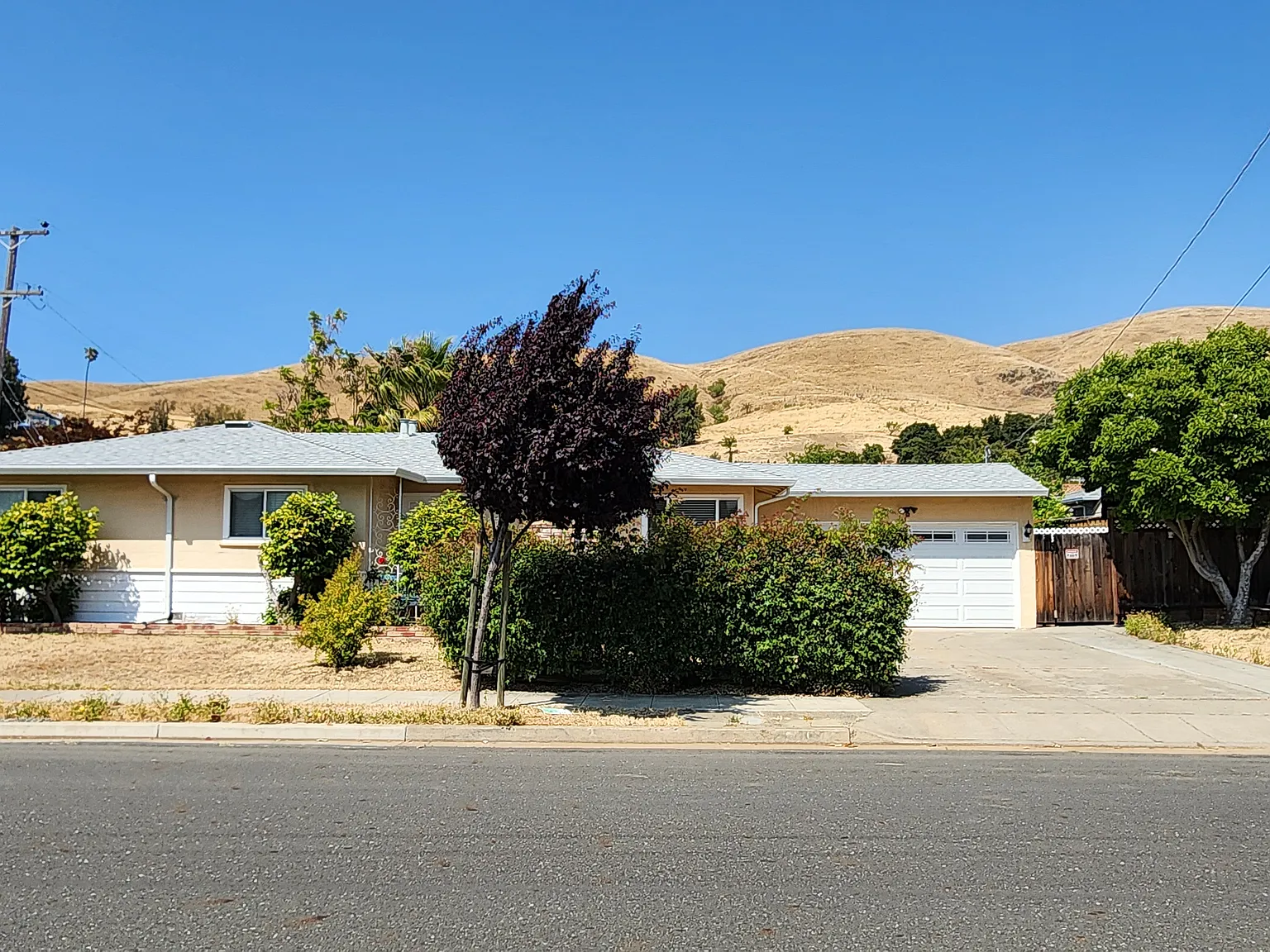 3 bed, 1078 sqft, $3,850 — Photo 1
