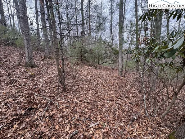 TBD Long Leaf Drive, West Jefferson, NC 28640