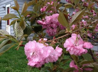 386 Fairview Rd, Asheville, NC 28803