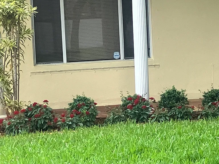 New lawn and landscaping