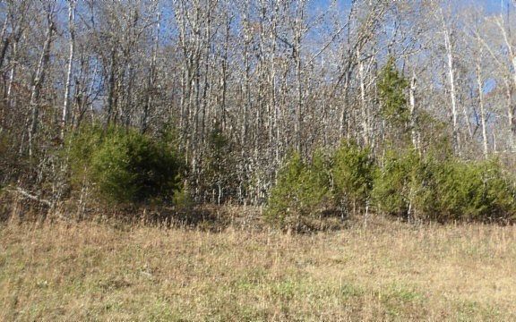 4th image of LOT 46 Cheyenne Dr