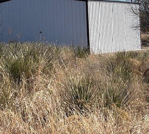 5th image of Elizabeth St