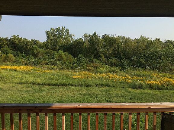 Backyard view from deck