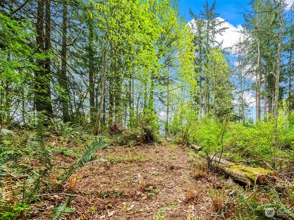 37218 Loki Bluff Drive NE, Hansville, WA 98340