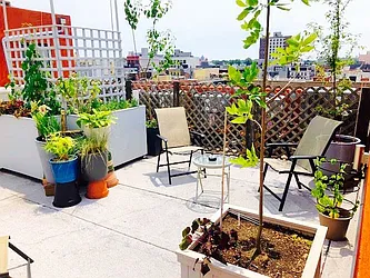 Rented by Superior Homes