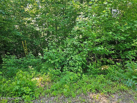 2nd image of Cheri Ln Lot 63
