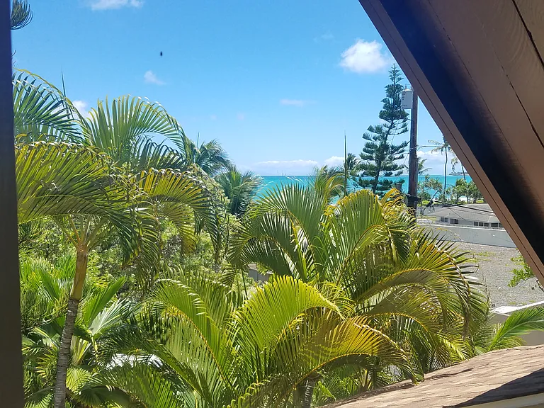 34 White Sands Pl #2 — Photo 11