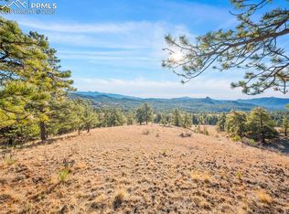 2706 Southpark Rd, Florissant, CO 80816